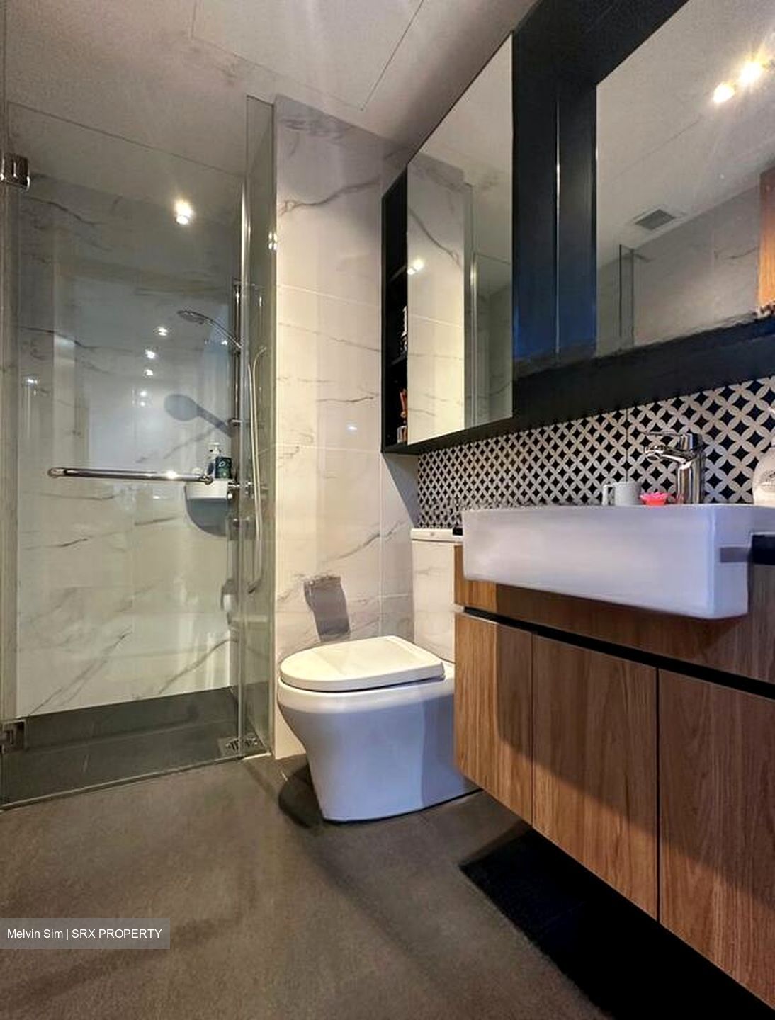 The Verandah Residences (D5), Apartment #482244391